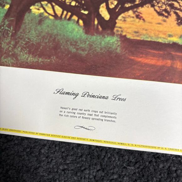 Vintage Mid Century Hawaii Lithographs by Werner Stoy - S/6 - 1960s Photographs - Picture 5 of 13